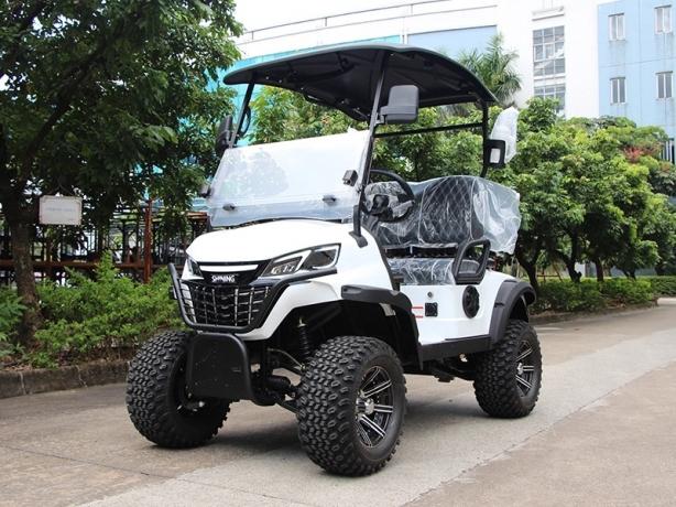 Small Electric Golf Carts vs. Traditional Gas Carts: Which Is Better for Your Business? cover picture