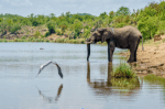 Cheap Places to Visit in Zimbabwe cover picture