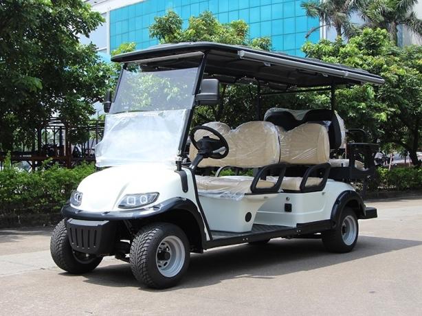 What Makes the Best Electric Golf Cart Manufacturer Stand Out? cover picture