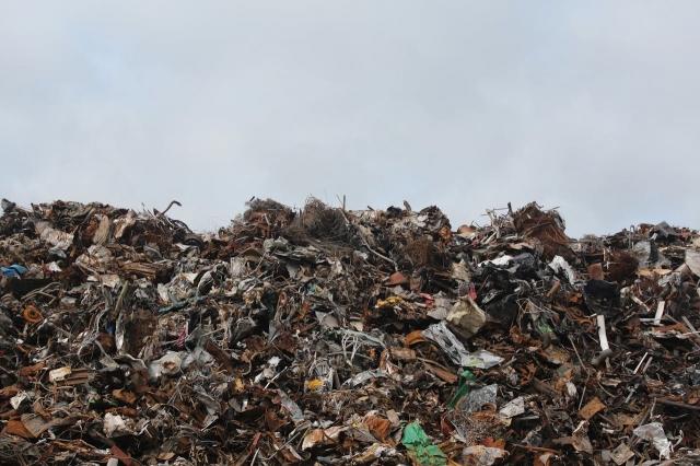8 Ways to Make Your Agri-Food Business More Sustainable cover picture