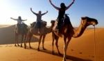Morocco Private Tours: Discover Luxury and Adventure with Tilila Travel cover picture