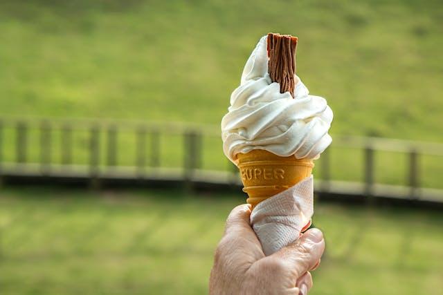 3 Tips to Make More Delicious Homemade Ice Creams This Summer cover picture
