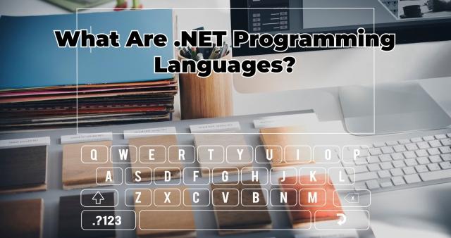 What Are .NET Programming Languages? cover picture