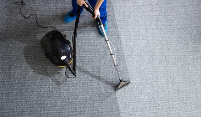How to Get Mold Out of Carpet cover picture