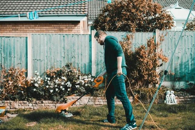 The Best Ideas for Creating a Stylish and Functional Yard cover picture