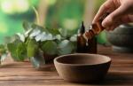 A Beginner’s Guide to Essential Oils: Benefits, Blends, and Best Practices cover picture