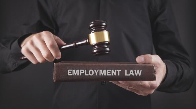 How Business Lawyers Protect Employers from Employment Law Suits cover picture