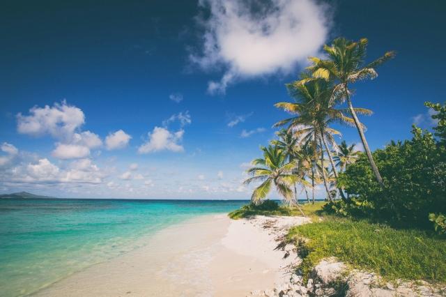 The Process and Perks of Becoming a Citizen of St Kitts and Nevis cover picture