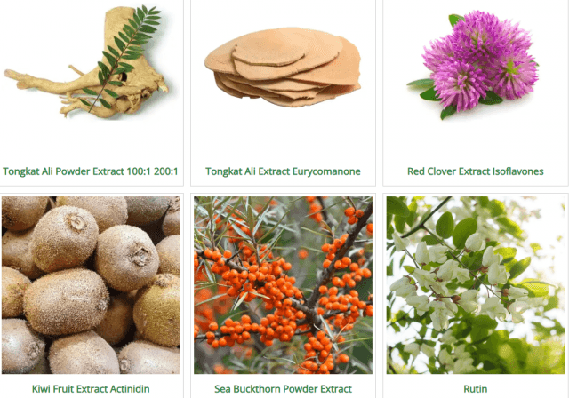 Unlocking the Power of Herbal Formulations: Traditional Wisdom Meets Modern Science cover picture