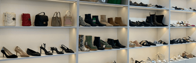 The Female Shoe Factory: Inside the World of Women’s Footwear Manufacturing and Market Trends cover picture