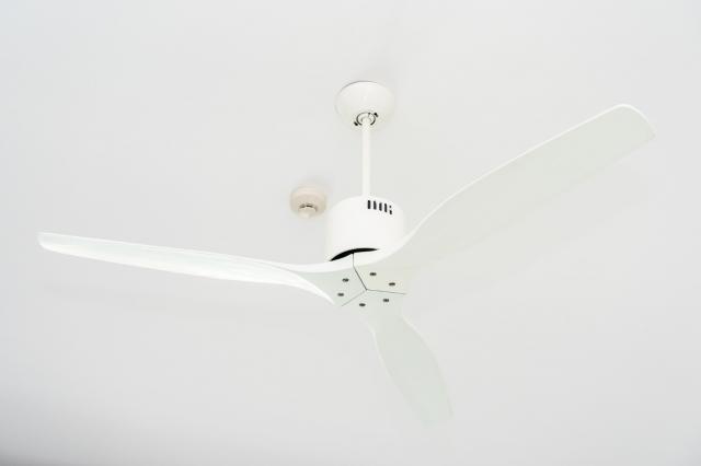 What are the Different Styles of Ceiling Fans with Lights? cover picture