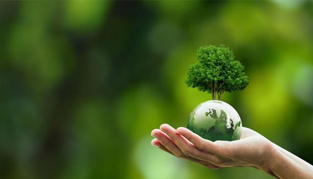 Sustainable Materials and Eco-Conscious Choices for Workspaces cover picture