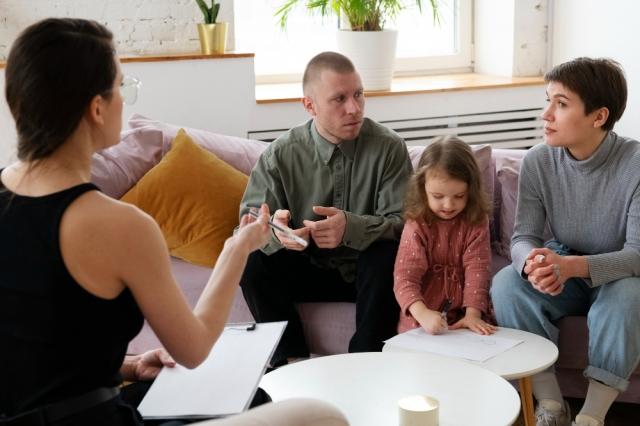 The Main Differences Between Family Courts and Other Courts cover picture