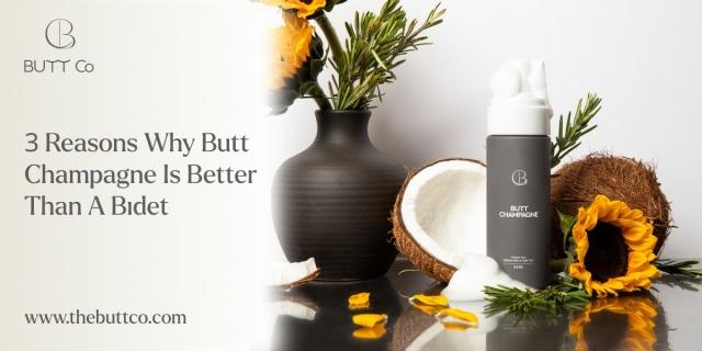 3 Reasons Why Butt Champagne Is Better Than A Bidet cover picture
