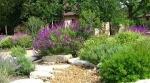 Creating a Wildlife-Friendly Garden: Tips for Attracting Birds, Butterflies, and Bees cover picture