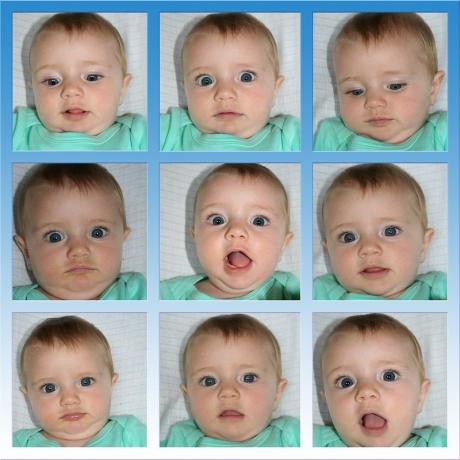 Mastering the Art of Capturing the Perfect Digital Passport Photo for Your Baby cover picture
