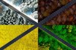 Why Cold Mix Asphalt Is the Go-To Fix for Driveway and Footpath Repairs cover picture