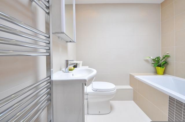 Importance of Disabled Alarm System in Bathroom cover picture