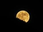Discover Your Potential: The Science Behind Moon Readings cover picture