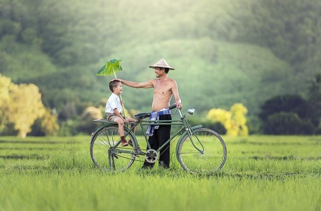 Top 7 Facts About Father's Day cover picture