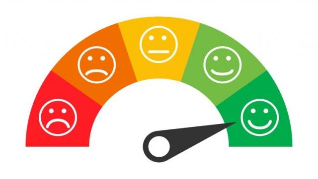 Is the Net Promoter Score an Accurate Metric to Measure Employee Satisfaction? cover picture