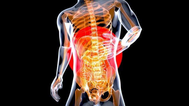 Gut Check: Managing Anxiety Through a Healthy Gut cover picture