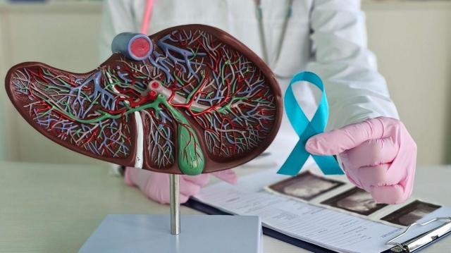 How to Recognise Liver Cancer Symptoms Before It’s Too Late cover picture