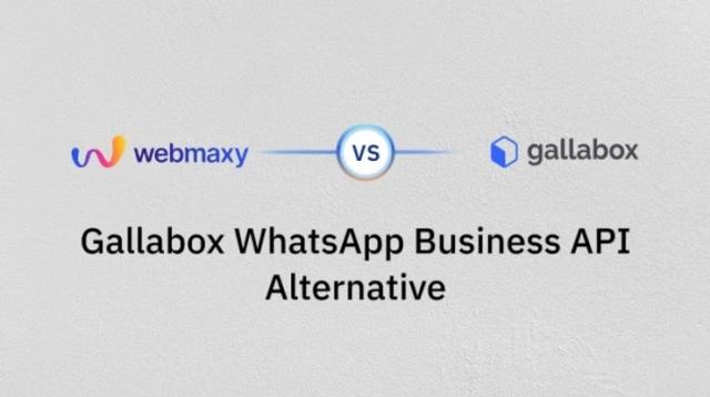 WebMaxy: A Smarter Gallabox WhatsApp Business API Option  cover picture