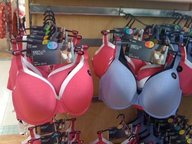 Maternity Bras: Comfort and Support for Expectant Mothers cover picture