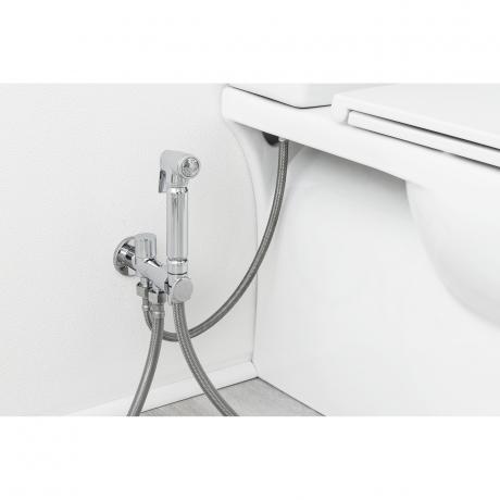 The Bidet Spray: An Australian Bathroom Revolution cover picture