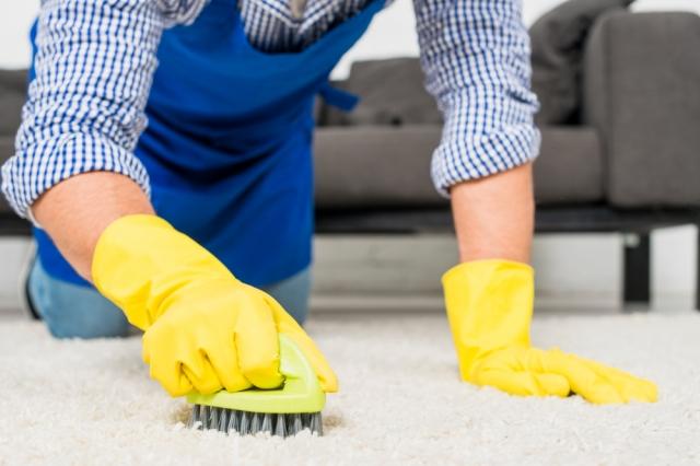 The Difference Between DIY and Professional Carpet Care cover picture