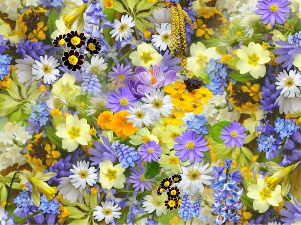 A Life in the Details: Easy Ways to Personalize a Loved One's Funeral Service cover picture