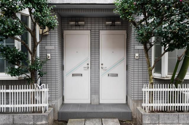 Best Materials for Long-Lasting Double Front Doors cover picture