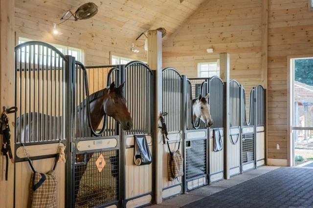 Horses Stall: A Guide to Understanding and Caring for Your Equine Companion cover picture