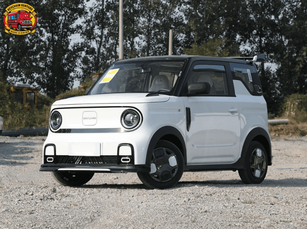 Driving the Future: A Comprehensive Guide to New Energy Vehicles cover picture