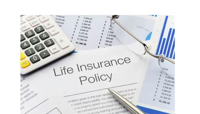 The Importance of Life Insurance Companies in Building a Solid Financial Foundation cover picture