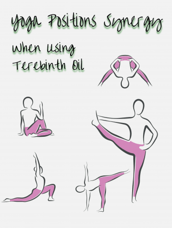 Chakras & Energy -Terebinth essential oil cover picture