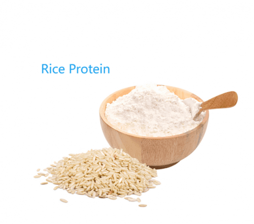 Unlocking the Power of Rice Protein: A Comprehensive Guide for Fitness Enthusiasts and Health-Conscious Individuals cover picture