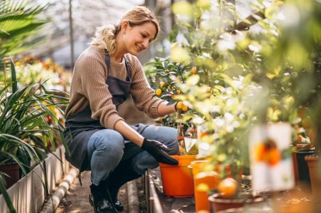 Seasonal Planting Guide for Your Home Garden cover picture