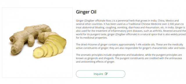 Unlocking the Power of Ginger Extract: Health Benefits, Applications, and Market Insights cover picture