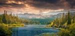 Why Hiring a Landscape Company Is the Best Way to Get Your Dream Landscape cover picture