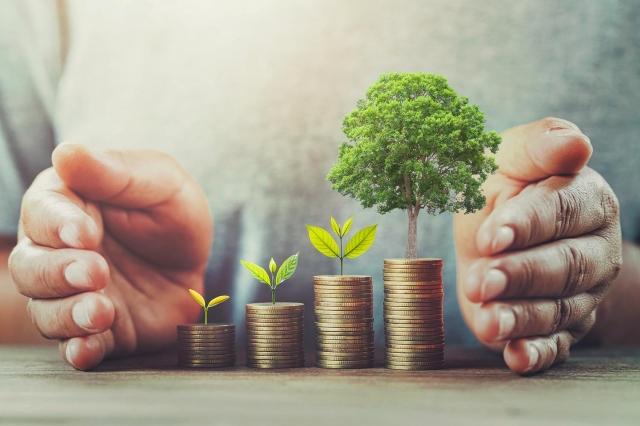 Practical Steps to Amplify Revenue for Local Businesses cover picture