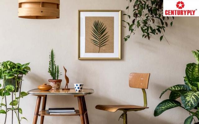 Your Home Deserves the Best: 5 Reasons to Buy Plywood Online from CenturyEshop cover picture