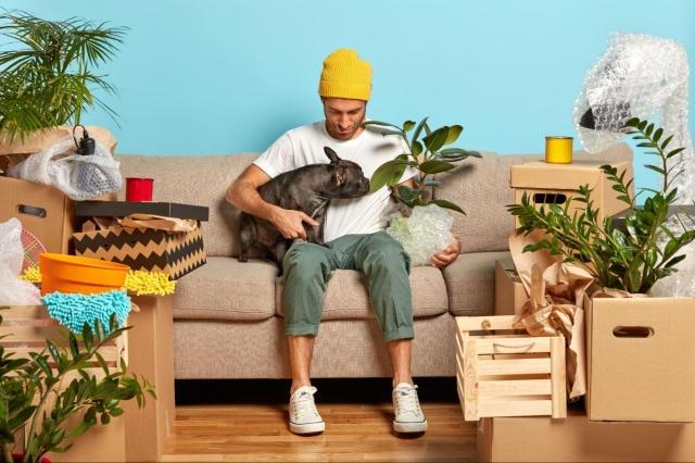 Minimalist Living, Maximum Calm: Why Reducing Home Clutter Boosts Mental Health cover picture