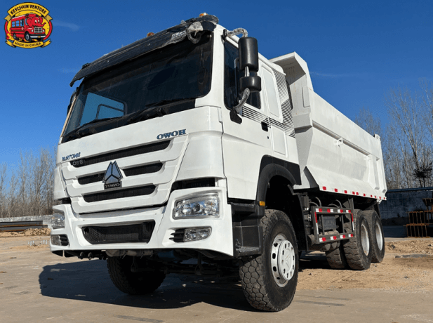 Unlocking Value and Performance: The Complete Guide to Buying a Used Dump Truck cover picture
