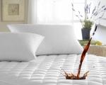 Say Goodbye to Stains and Toxins with an Organic Waterproof Mattress Protector cover picture