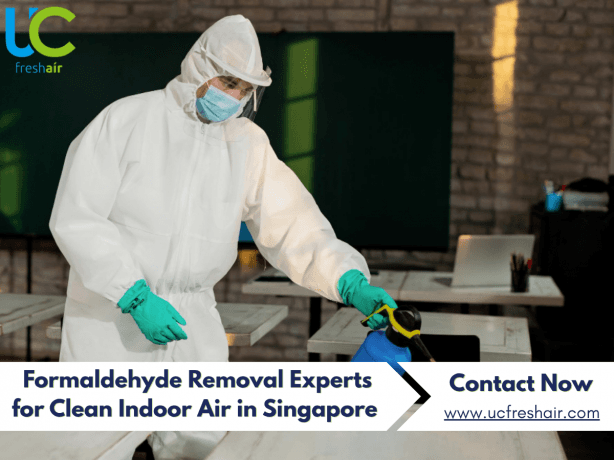 When a Formaldehyde Removal Spray Becomes More Than a Quick Fix? cover picture