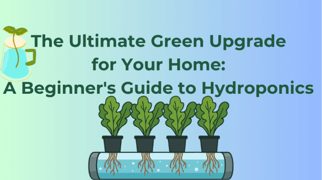 The Ultimate Green Upgrade for Your Home: A Beginner's Guide to Hydroponics cover picture