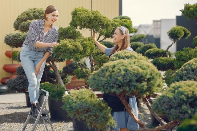 Creating Your Own Feel-Good Garden: Simple Outdoor Upgrades That Boost Your Mood cover picture