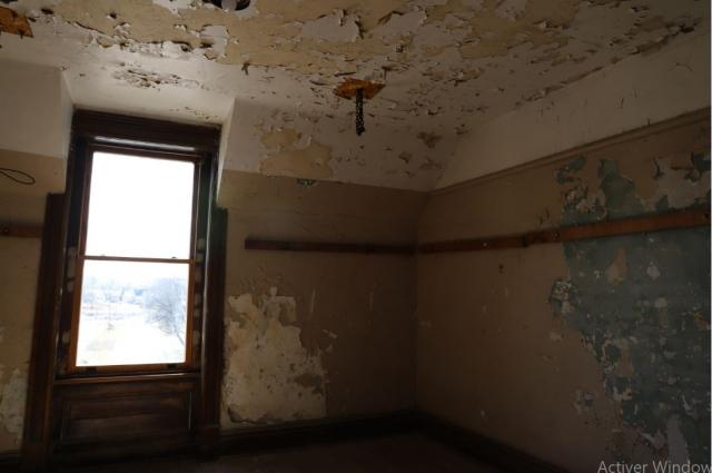 What Does Remediation Mean For Mould cover picture